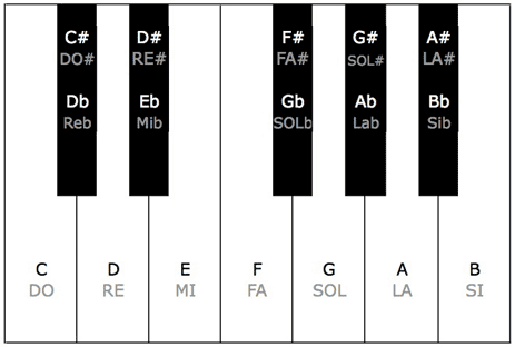 Les touches du piano.